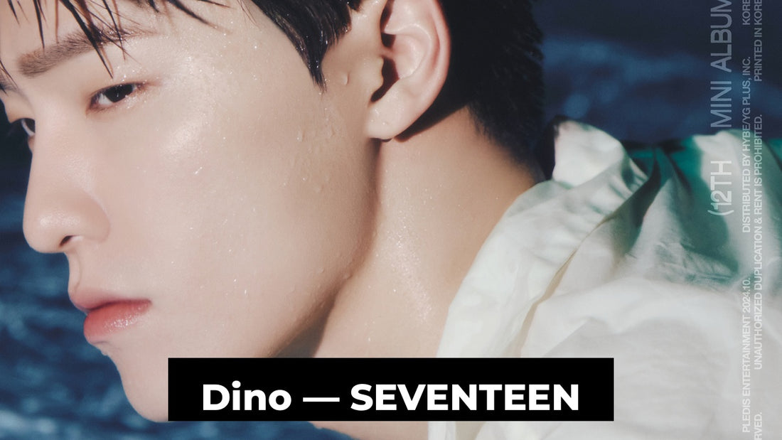 Dino (SEVENTEEN) : Profil, Histoire et Faits